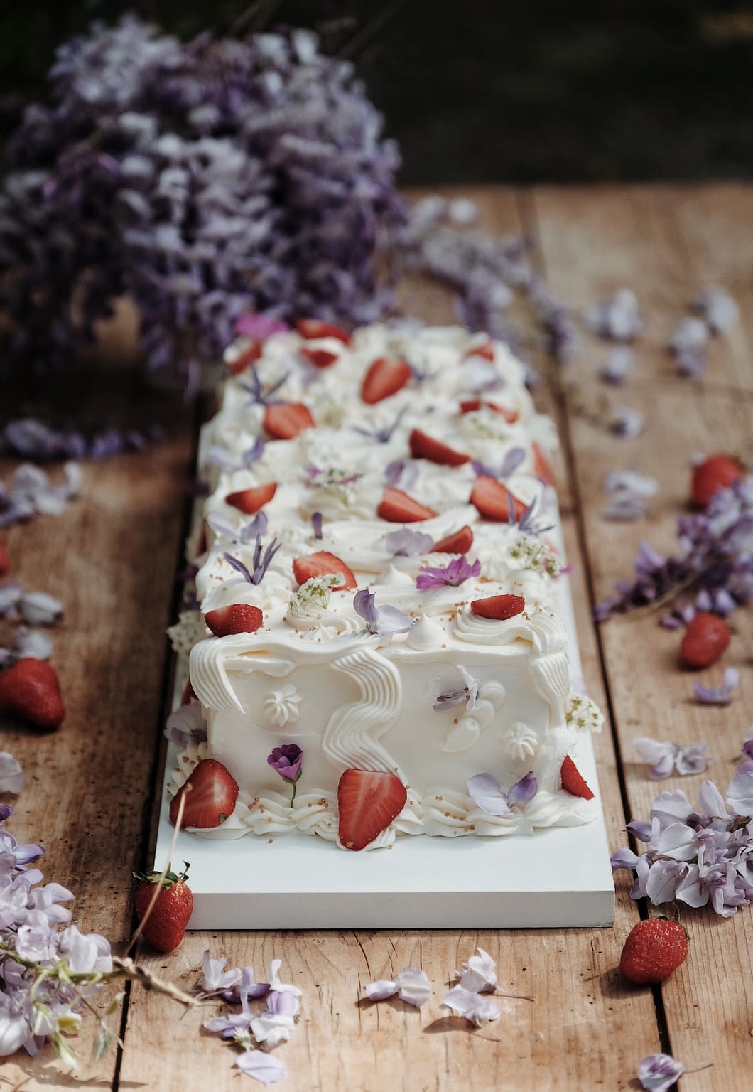 Long cake fraise 8