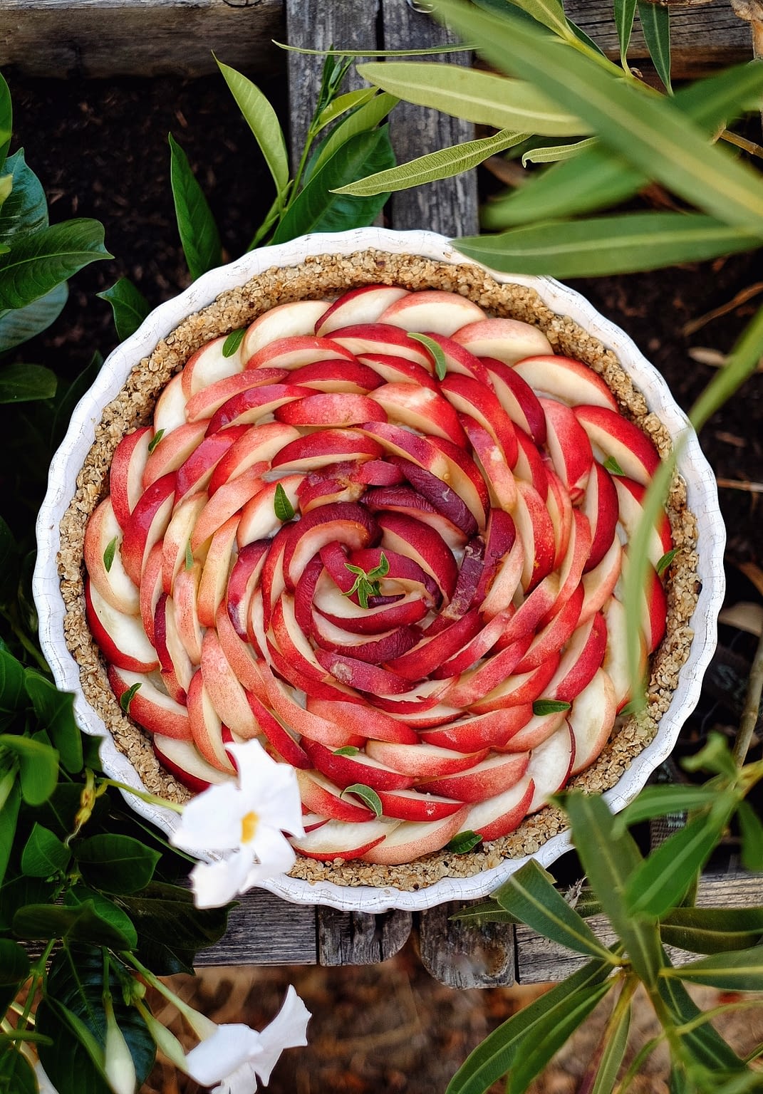 Tarte nectarine